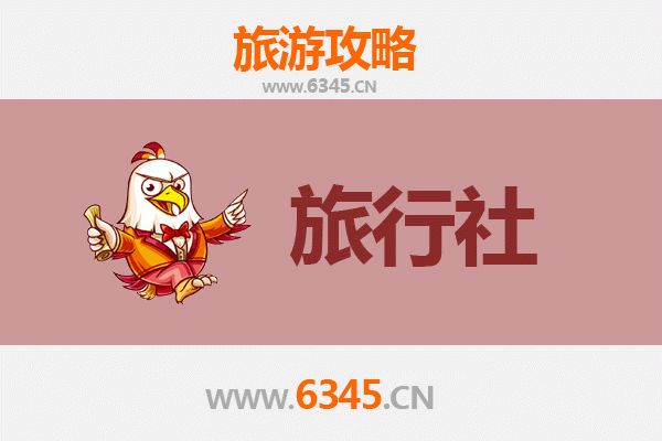 保亭热带作物研究所旅游全攻略：本地旅行社推荐与深度体验指南