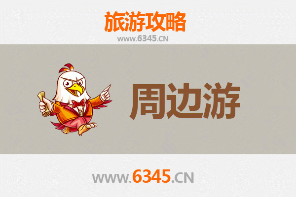海南保亭热带作物研究所周边游攻略：探秘热带植物与黎苗文化